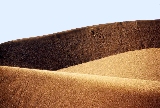 dune
