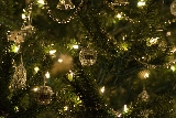 albero di natale luccicante