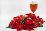 stelle di natale e champagne