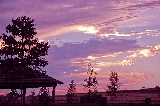 alba